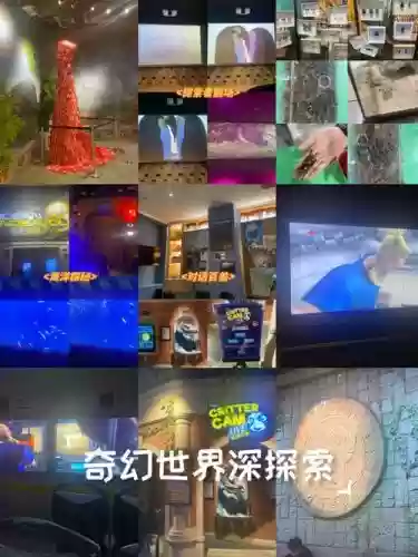 国家地理探险游戏攻略插图1