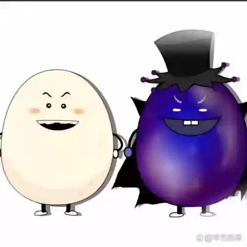 黑大帅阵容插图