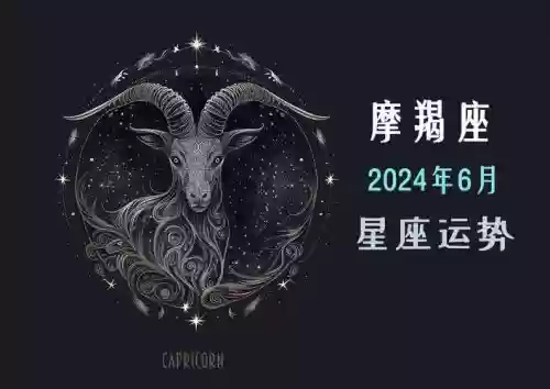 摩羯阵容插图1