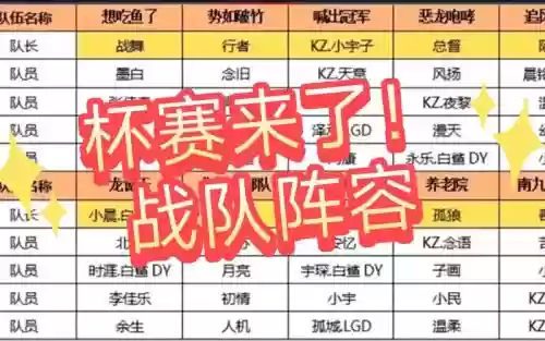 清雅杯阵容插图