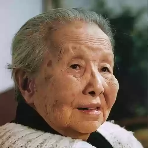 冰心灯阵容插图1