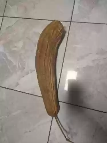 丝瓜适合什么武器，丝瓜武器哪个好插图