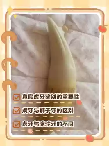 虎牙守护技能，虎牙守护技能是什么插图