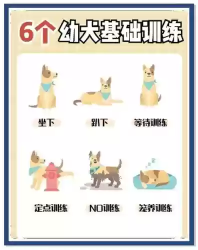让宠物速度下降的技能，如何提高宠物训练点数插图