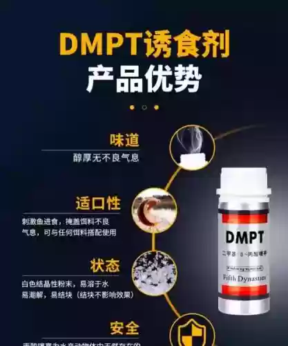 dmpt使用方法攻略，dmpt真的有用吗插图1