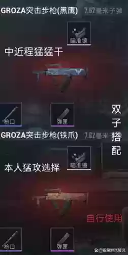 刺激战场两把武器搭配，刺激战场两把武器搭配图插图