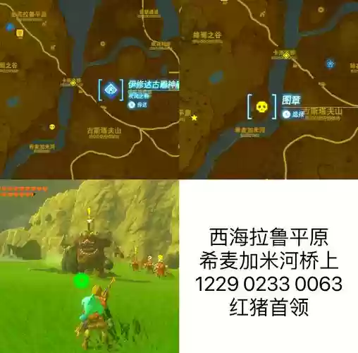 森林王国最强阵容搭配，森林王国里有什么插图