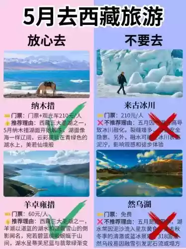 5月攻略视频教程，五月旅行攻略插图