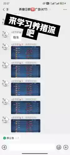 王者荣耀养猪船体阵容搭配，王者荣耀养猪流船是什么插图1