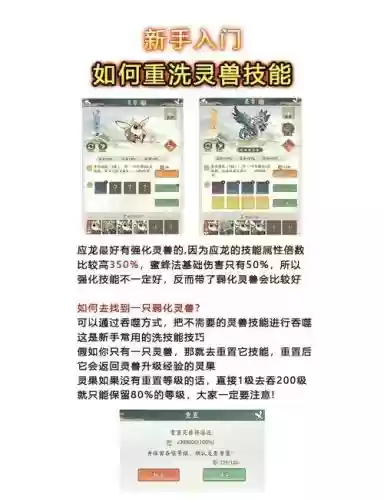 出战灵兽技能转移，灵兽技能怎么冲格子插图