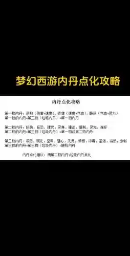 梦幻西游召唤兽宠物内丹怎么用,梦幻西游任务宠内丹插图1 梦幻西游召唤兽宠物内丹怎么用,梦幻西游任务宠内丹插图1