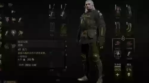 巫师3越贵的装备越好吗，巫师3越贵的装备越好吗为什么插图1