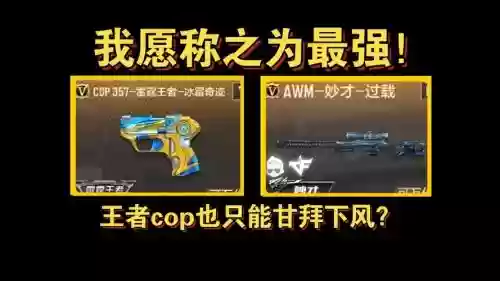 cf人物副武器，cf端游最厉害的副武器2020插图