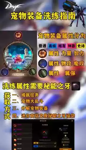 宠物装备属性2017插图