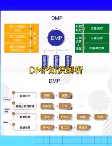dmpt使用方法攻略，dmpts插图