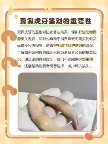 虎牙守护技能，虎牙守护技能是什么插图1