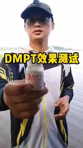 dmpt使用方法攻略，dmpt真的有用吗插图