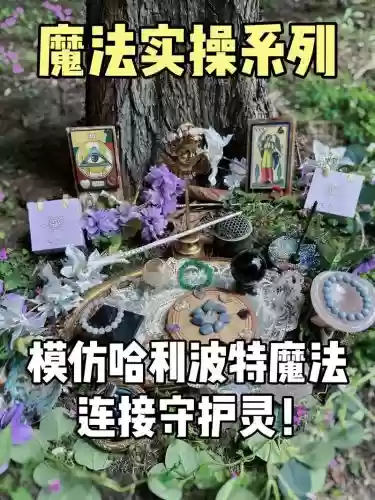 哈利波特的技能是什么样的，哈利波特技能图鉴插图