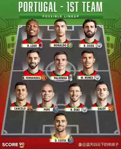 葡萄牙欧锦赛阵容搭配中锋，葡萄牙欧冠阵容插图