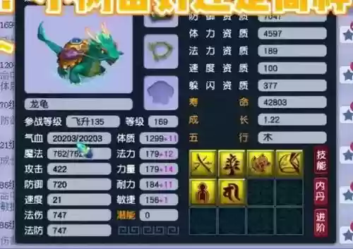 梦幻西游龙龟进阶装饰，梦幻龙龟套装什么效果插图1