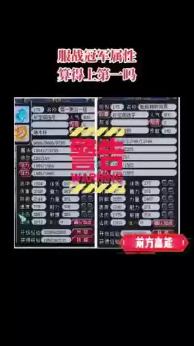 梦幻西游冠军是哪个区，梦幻西游全服冠军插图1