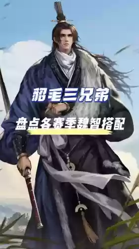 率土之滨魏国最新阵容搭配，率土之滨魏国阵容排行榜插图