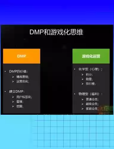 dmpt使用方法攻略，dmpts插图1