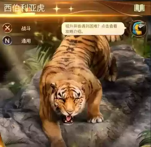 老虎单挑阵容搭配插图1