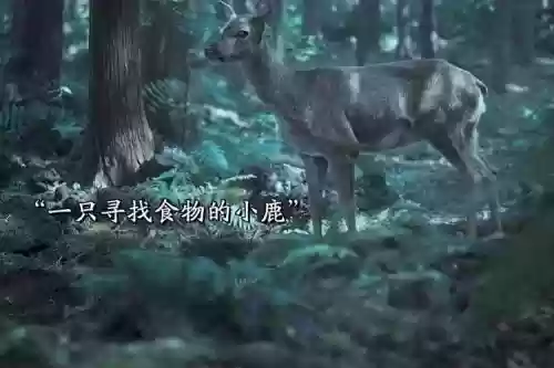 变鹿以后一技能,鹿变异攻击老虎插图1 变鹿以后一技能,鹿变异攻击老虎插图1