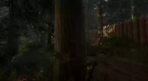 迷失的森林30攻略10，迷失的森林解谜游戏插图1