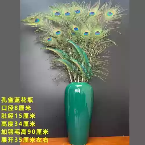 孔雀翎刷图阵容搭配推荐，孔雀翎干什么用插图1