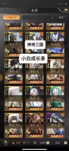 神将三国攻城阵容搭配,神将三国最强阵容搭配插图1 神将三国攻城阵容搭配,神将三国最强阵容搭配插图1