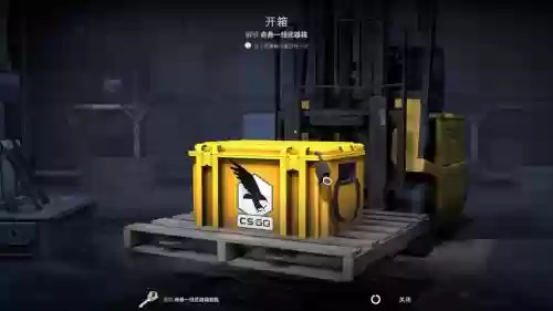 命悬一线武器箱,cs命悬一线武器箱插图 命悬一线武器箱,cs命悬一线武器箱插图