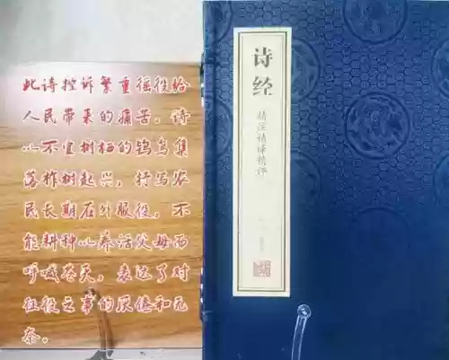 鸨羽阵容搭配,鸨羽什么意思插图1 鸨羽阵容搭配,鸨羽什么意思插图1