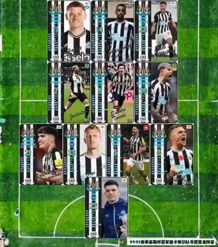 纽卡补强阵容搭配,纽卡球队老板插图1 纽卡补强阵容搭配,纽卡球队老板插图1