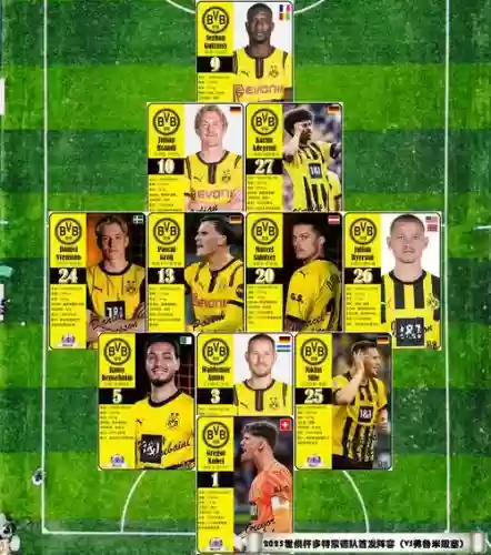 多特蒙德流浪者阵容搭配，多特蒙德经典阵容插图