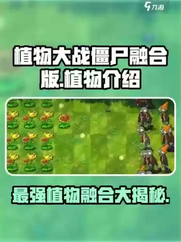 植物大作战巅峰阵容搭配，植物大作战植物搭配插图1