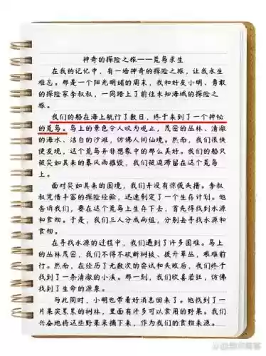 险境求生攻略，险境求生作文插图1